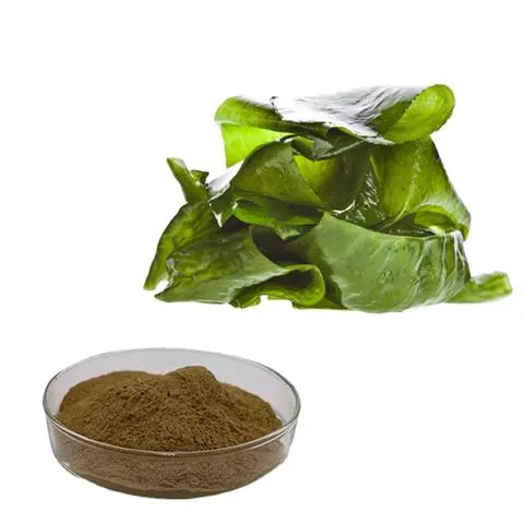 7-氧代-7H-[1,3]噻唑并[3,2-A]嘧啶-5-羧酸