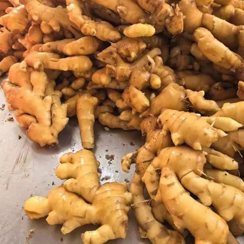 风藤素C