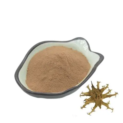 3-(5,5-Dimethyl-1,3,2-dioxaborinan-2-yl)benzoic acid