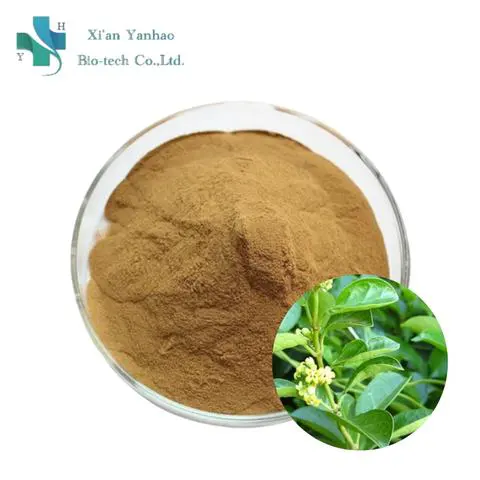 Diethyl 2,3-dihydroxysuccinate