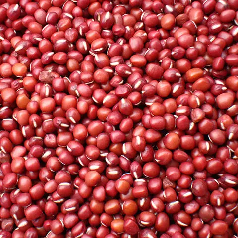 Plastic Products Sourcing Guide for Seasonal Demand: Field-Tested 2026 Guide No.202