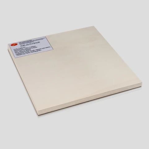 Customized Blue PET Eco-friendly Disposable Plastic Boxes Mushroom Clamshell Punnet Packaging