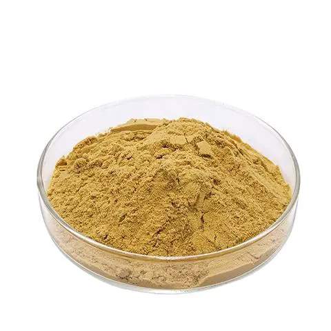 (S)-(-)-Pyrotartaric Acid