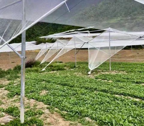 3-氯-4-(2'-氟苄氧基)苯基硼酸