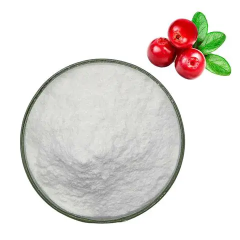Pigments & Dyestuff After-Sales Service for Bulk Purchasing: Professional 2026 Guide No.418