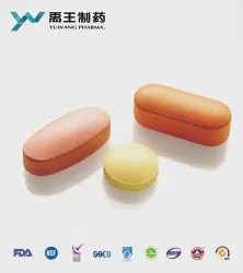 Renilla Luciferase Reporter Gene Assay Kit (Standard)