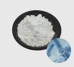 Packaging Machine Heat Shrink Packaging Machine with Conveyor Line