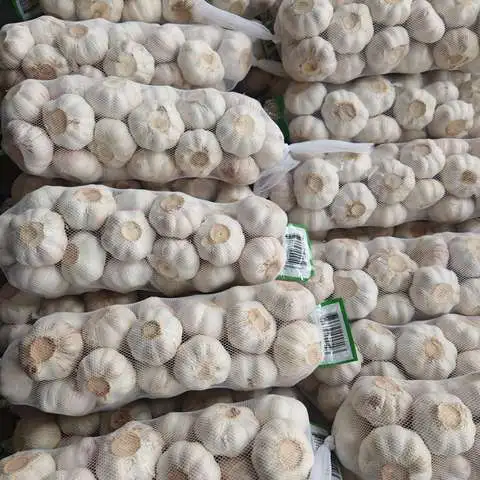 BMMY培养基（用于毕赤酵母）