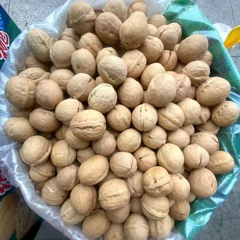 鱼钩金袖