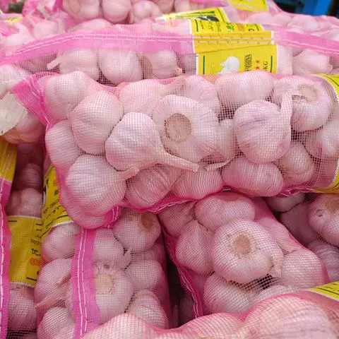 美人鱼鱼线