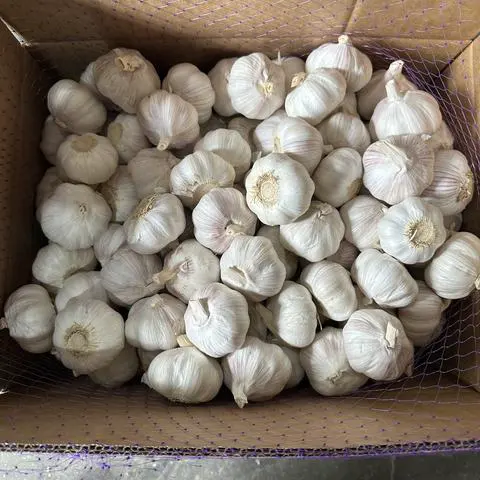 [U-13C]-纤维素, 高聚合度,来源于玉米