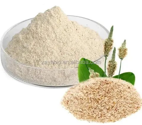Wholesale Price Payslip Computer Form Pin Mailer Printer Roll Carbonless Paper Ncr Atm