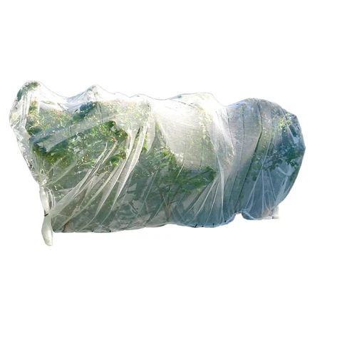 Agriculture, Food & Beverage Market Trends for Distributors: Practical 2025 Guide No.461
