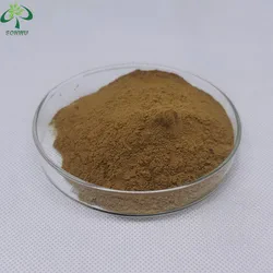tert-Butyl 2-(4-oxo-4,5,6,7-tetrahydro-3H-cyclopenta[4,5]thieno[2,3-d]pyrimidin-3-yl)acetate
