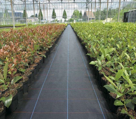 Rubber Raw Materials Certification & Compliance for Distributors: Detailed 2026 Guide No.168