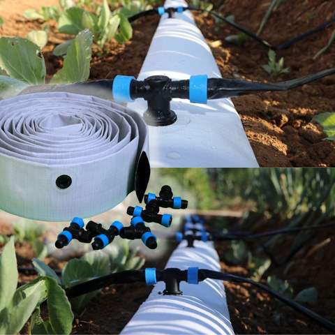 Pet Cherry Tomatoes Oranges Packing Fruit Box Clamshell Transparent Holes Food Plastic Eco-Friendly Recyclable Disposable