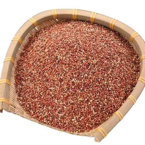 Plastic Raw Materials Factory Comparison for Bulk Purchasing: Professional 2027 Guide No.412