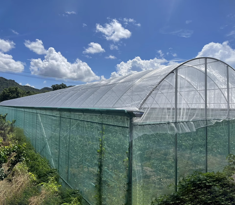 Plastic Projects Market Trends for Bulk Purchasing: Buyer-Oriented 2025 Guide No.101