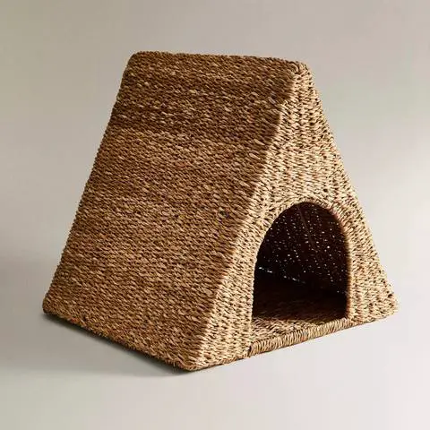 N-(4-羟基苯基)噻吩-2-甲酰胺