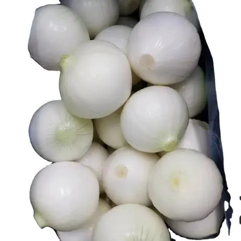 592-27-8