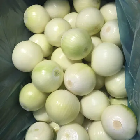 高氯酸镁 六水合物