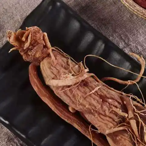 金海夕长子线