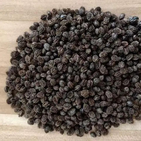 3,3′-Diethoxypropyl methacrylate