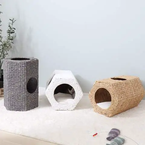 乙腈中五氯硝基苯溶液
