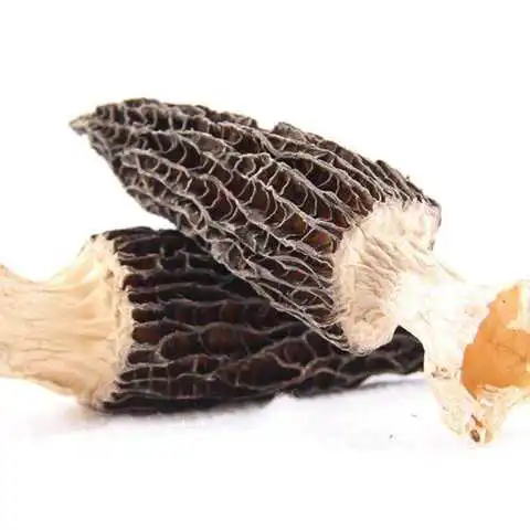 硫酸阿托品一水合物