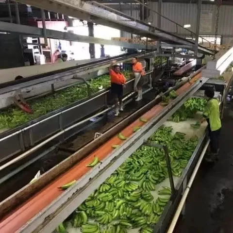 磷酸三钾三水合物