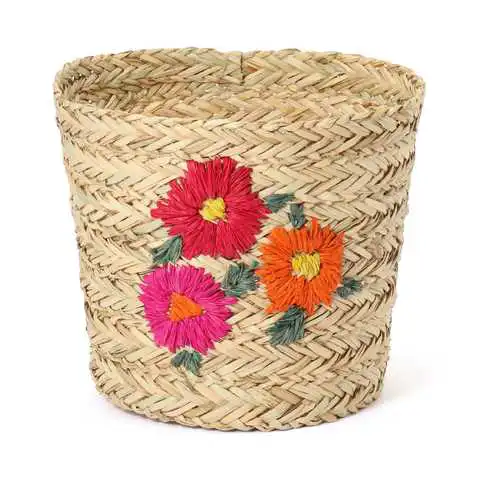 (6-甲氧基-2-甲基硫基-嘧啶-4-基)-吡咯烷-3-基-胺盐酸盐