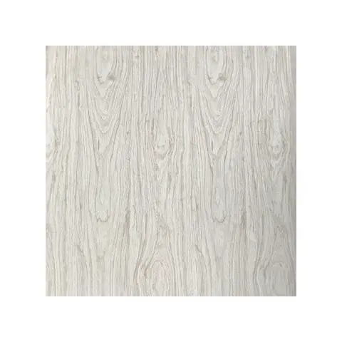 BL21(DE3)pLysS 感受态细胞