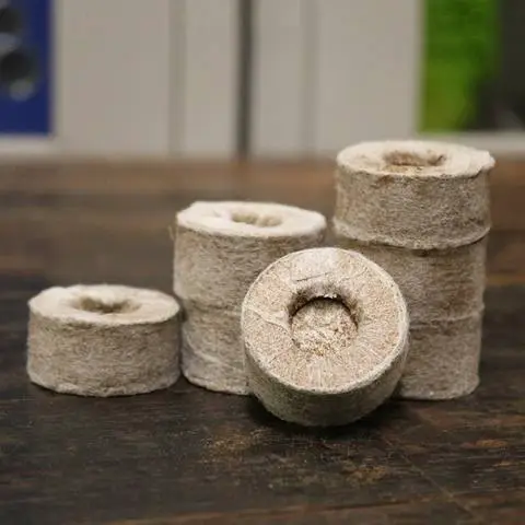 2-环亚丁基乙酸甲酯