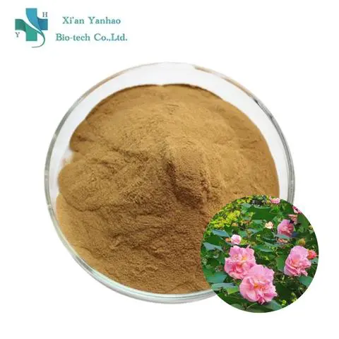 1H-1,2,4-Triazole-1-propanoic acid, ethyl ester