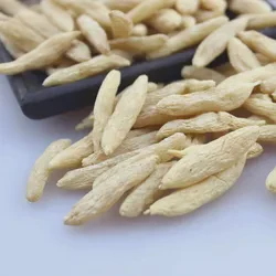 移动厕所户外卫生间