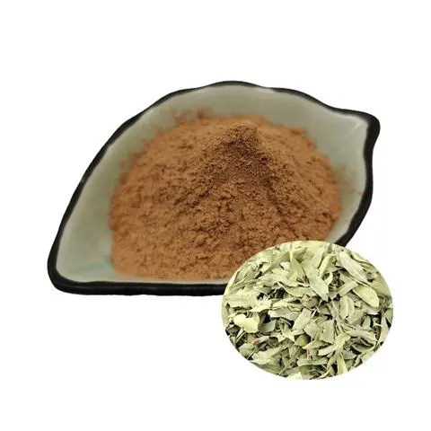 视黄醇亚油酸酯