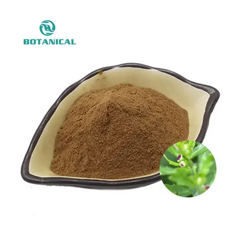 Rossita感受态细胞
