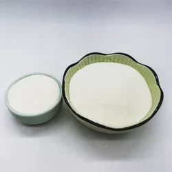 Pramlintide