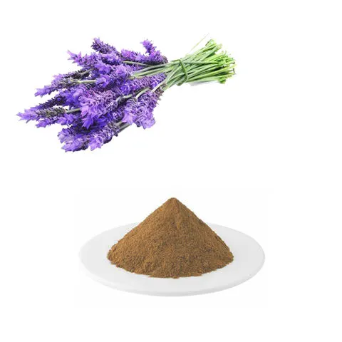 酰肼-PEG4 -脱硫生物素