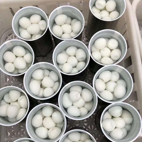 (1,2,3,4-四氢异喹啉-1-基)甲醇