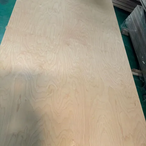 GT115 感受态细胞
