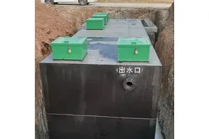 N,N'-二环己基碳二亚胺(DCC)