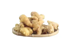 亚硝酸根离子(NO2-)标准溶液