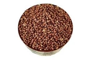 Other Chemicals Contract Terms for Small Batch Trials: Field-Tested 2027 Guide No.99