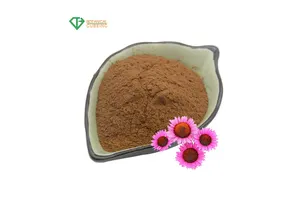 Azidoethyl-PEG2-t-Butyl ester