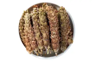 四氢噻喃-4-肼双盐酸盐