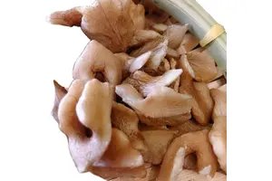 二氢乌本(箭毒)苷