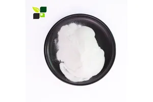 Wholesale 33g 50g 60g Anti-Curl Recyclable Double-Sided Heat Transfer Sublimation Paper T-shirt Printing Specialty Paper
