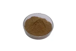 2 3 7 8 12 13 17 18-OCTAETHYL-21H 23H-