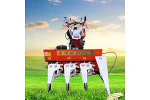 Factory Custom Brouchures Book Printing Service Paperback Soft Cover Magazine Book Printing Offset Printing
